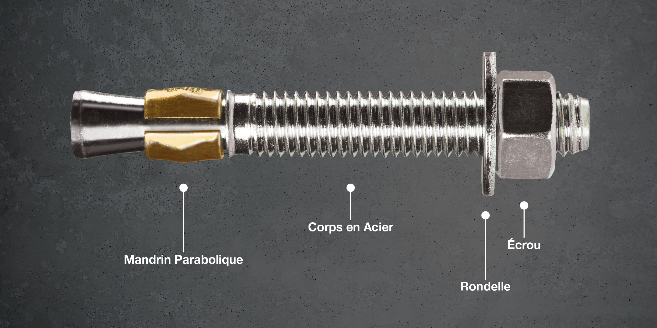 Parawedge – Image 2