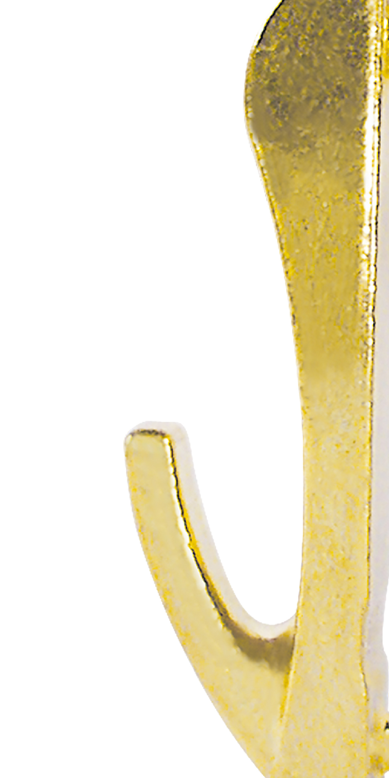 Wallbiter – Image 3