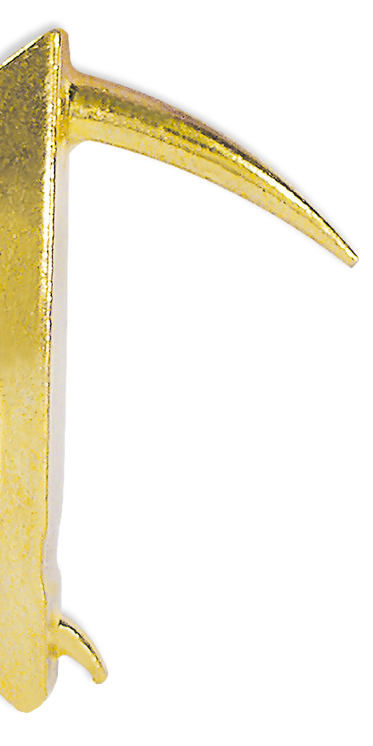 Wallbiter – Image 4