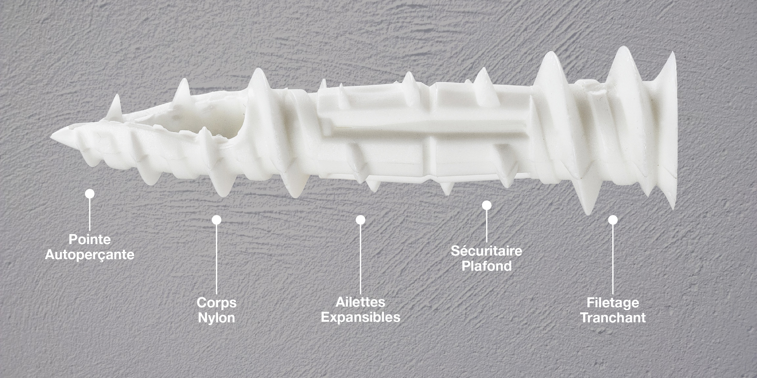 WallGripper – Image 2